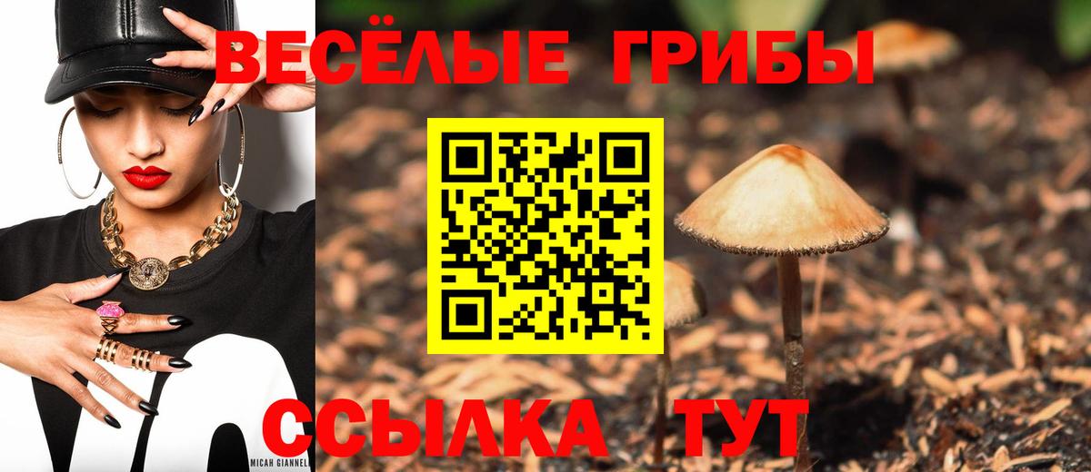 Галлюциногенные грибы Psilocybine cubensis  Вход с VPN  Ахтубинск  Галлюциногенные грибы Cubensis 